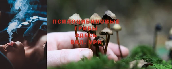 каннабис Карпинск