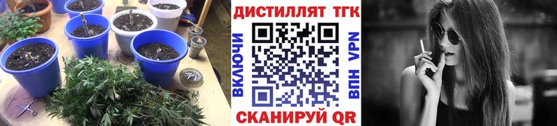 Купить закладки  Хилок  ТГК вейп 